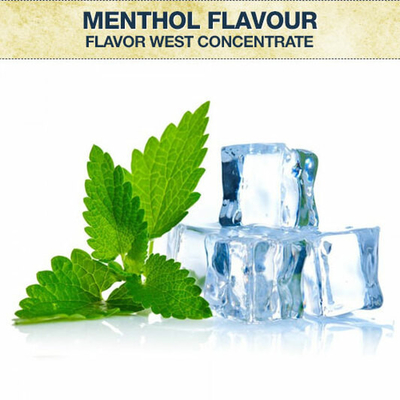 Professional Manufacture Ice Menthol Mint Flavor OEM/ODM E Cig Eliquid High Concentrated Salem Flavor for Making Eliquid