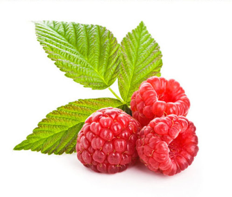 Tobacco Concentrate FlavorHigh Concentrated Coolmist Menthol E Liquid / E-Cig / Vape with Pg/Vg in ItFactory Supply Th