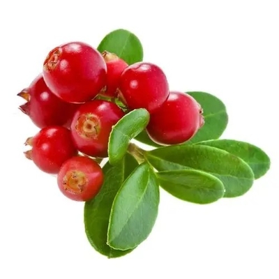 lingonberry;huckleberry;mountain cranberry; cowberry;  Vape e-liquid e juice flavor concentrate flavoring flavour