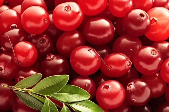 lingonberry;huckleberry;mountain cranberry; cowberry;  Vape e-liquid e juice flavor concentrate flavoring flavour