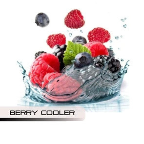 The Mint Leaf,Honeydew Berry Kiwi,Jam Rock.Dream Cream.CCD3.Mustache Milk. E-Liquids Vape Juice Flavor Vape E Juice pod