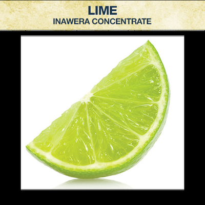 E Cig Fruit Shine Muscat Flavor Grape Fragrance for E Vape Liquid Black Grape Vape Juice Flavor Concentrate Fruit Fragra