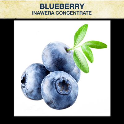 Fruit Flavor Food Grade Food Flavor for Vape E JuiceTobacco Flavor Fruit Concentrate Flavor Hazenut for Vape Juice 125m