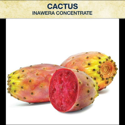 Fruit Flavor Food Grade Food Flavor for Vape E JuiceTobacco Flavor Fruit Concentrate Flavor Hazenut for Vape Juice 125m