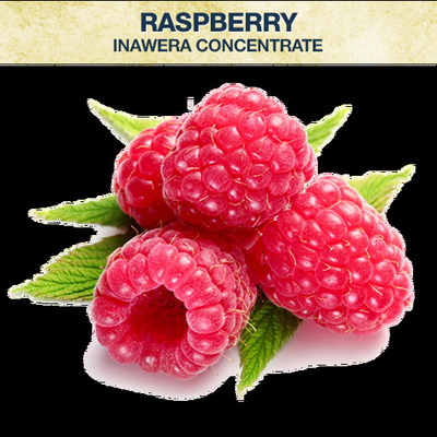 Fruit Flavor Food Grade Food Flavor for Vape E JuiceTobacco Flavor Fruit Concentrate Flavor Hazenut for Vape Juice 125m
