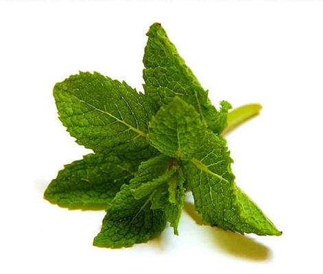 E Liquid Flavor High Concentrated Flavor Menthol Mint Tobacco Aromas Vape 125ml Samples