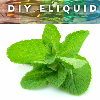 Hot Sell Vape Fruit Flavours Used for Vape Ejuice Eliquid 125ml/500ml/1L Vape Liquid Flavoring Concentrated Lemon-Mint F