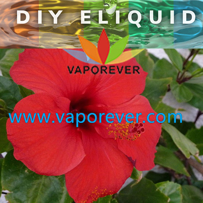 TFA/TPA/Flavor west/Flavor art/Capella/Inawera/Flavoroh Tobacco Fruit Vape Juice Flavors  Raspberry PG Concentrate Fruit